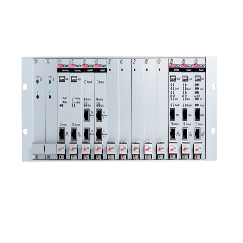 MultiScoop Modular Rackmoint Codec